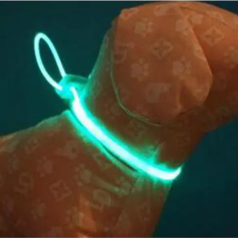 Luminous Dog Strap Pendant Collar – Stylish, Safe & Lightweight for Night Walks