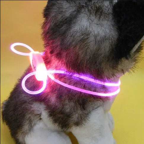 Luminous Dog Strap Pendant Collar – Stylish, Safe & Lightweight for Night Walks