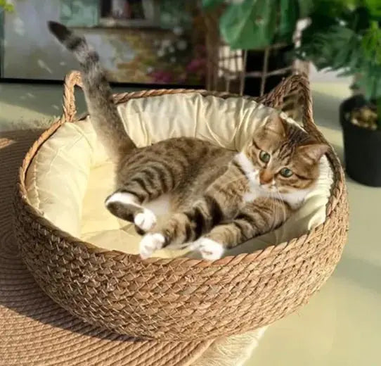 Cozy, plush interior of the Handmade Pet House providing comfort and warmth for small pets.