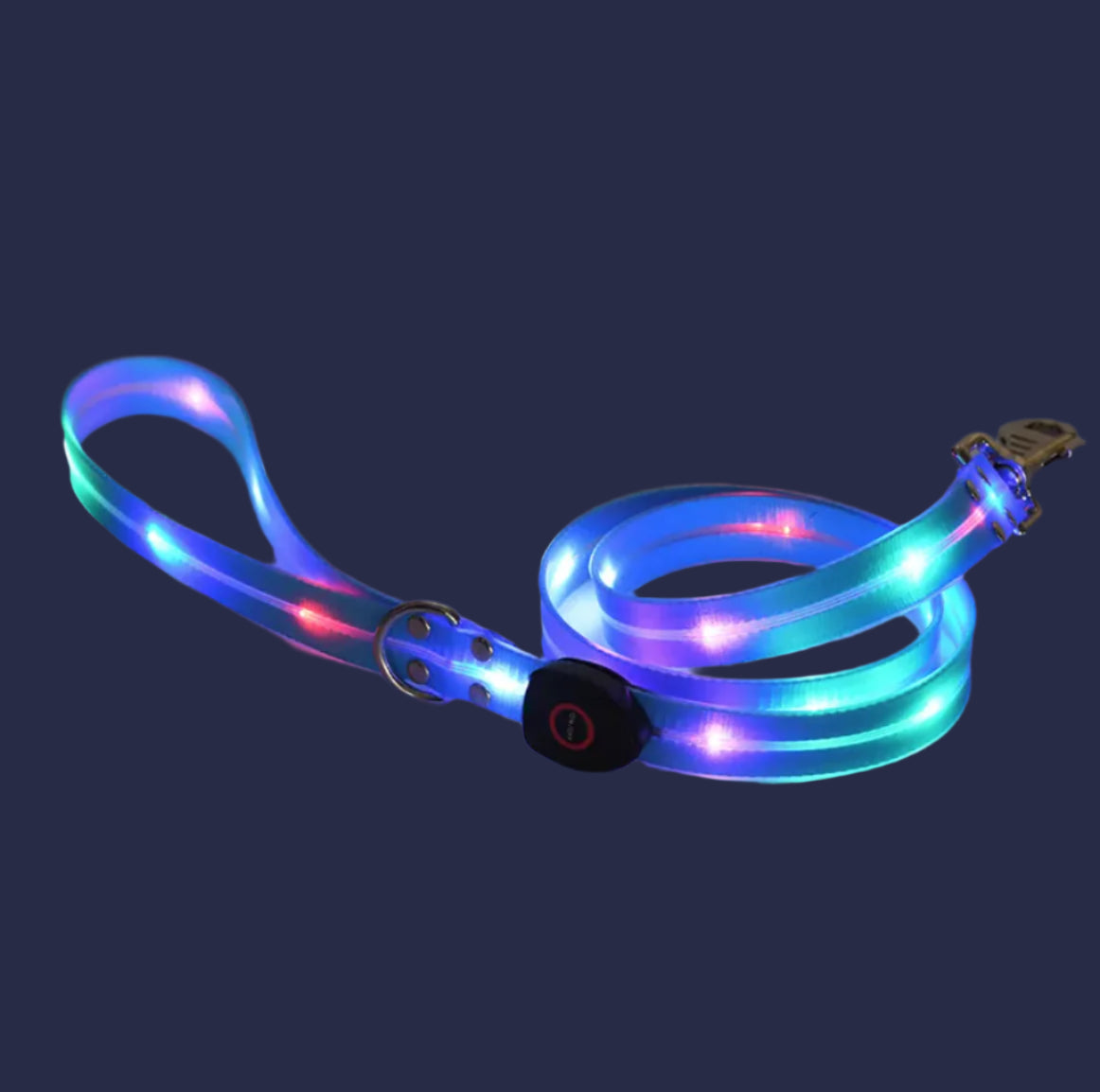 Rechargeable LED Pet Collar with Nylon Leash – USB Charging & Night Visibility
