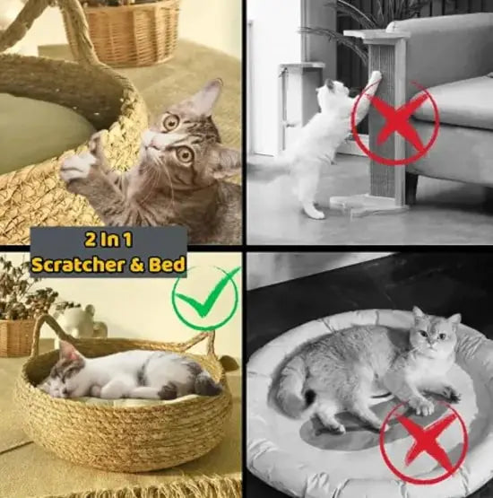Eco-friendly Handmade Pet House for small dogs and cats, perfect for lounging, napping, and stylish décor