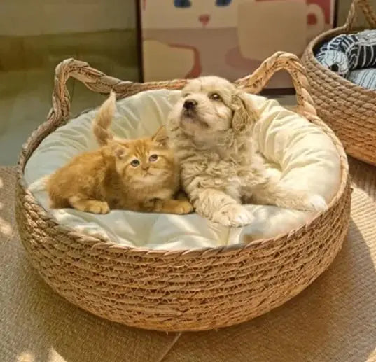 Handmade Pet House for Small Dogs & Cats, crafted from eco-friendly cattail leaves for natural comfort.