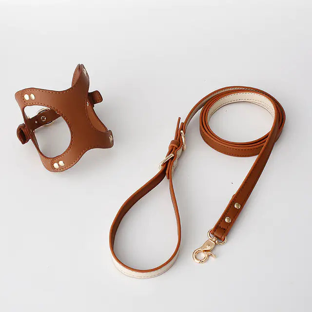 Adjustable Dog Harness & Leash Set for Small & Medium Breeds – Comfortable, Durable & Safe