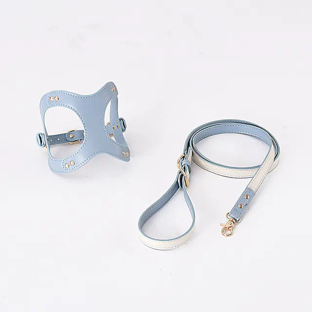 Adjustable Dog Harness & Leash Set for Small & Medium Breeds – Comfortable, Durable & Safe