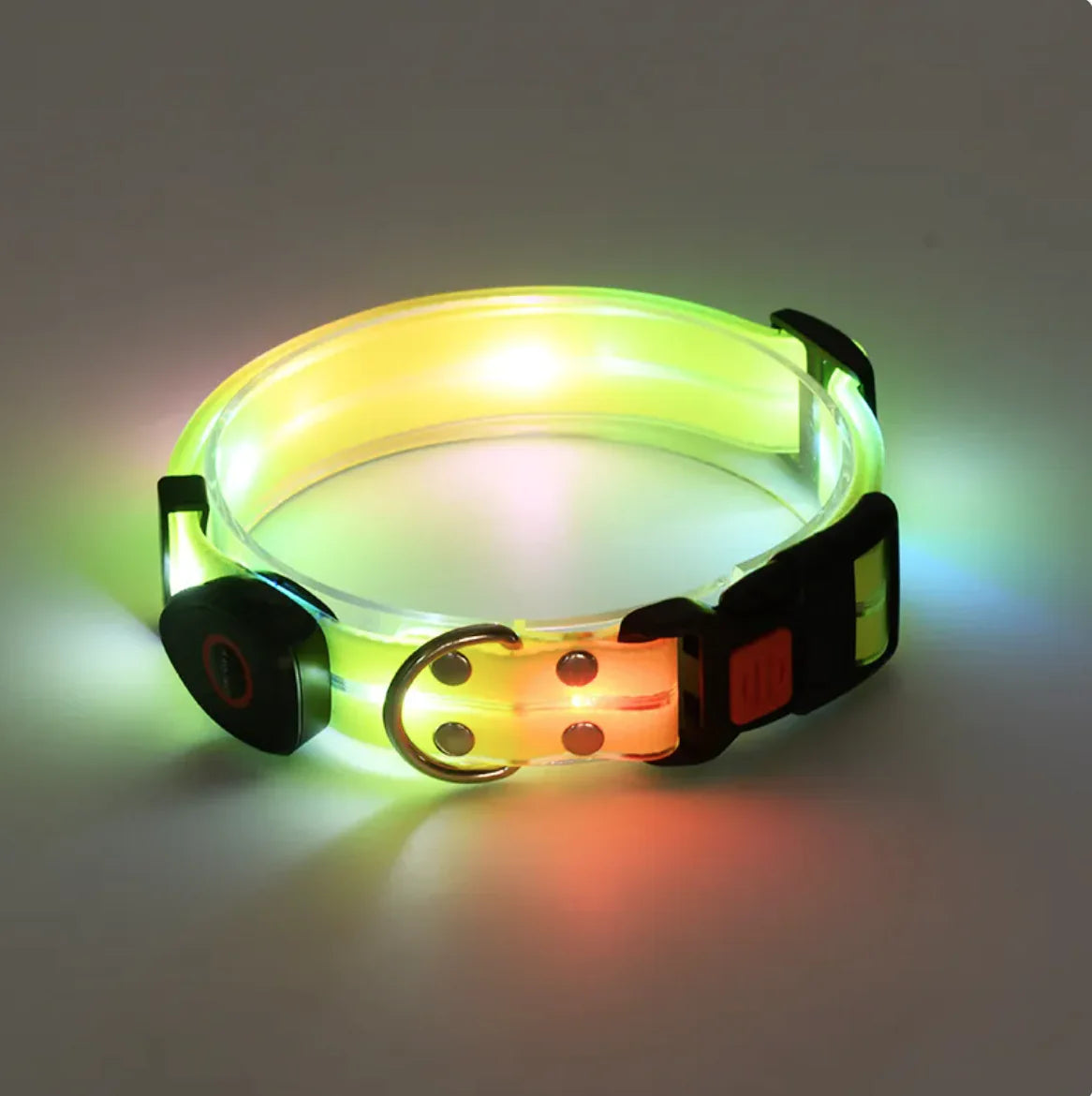 Visible Pet Collar with USB Charging