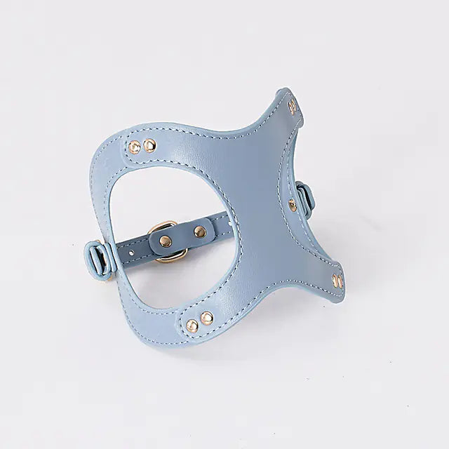 Adjustable Dog Harness & Leash Set for Small & Medium Breeds – Comfortable, Durable & Safe