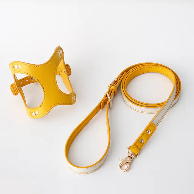 Adjustable Dog Harness & Leash Set for Small & Medium Breeds – Comfortable, Durable & Safe