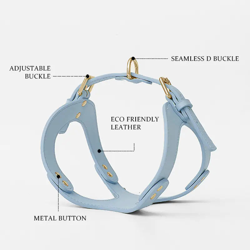Adjustable Dog Harness & Leash Set for Small & Medium Breeds – Comfortable, Durable & Safe