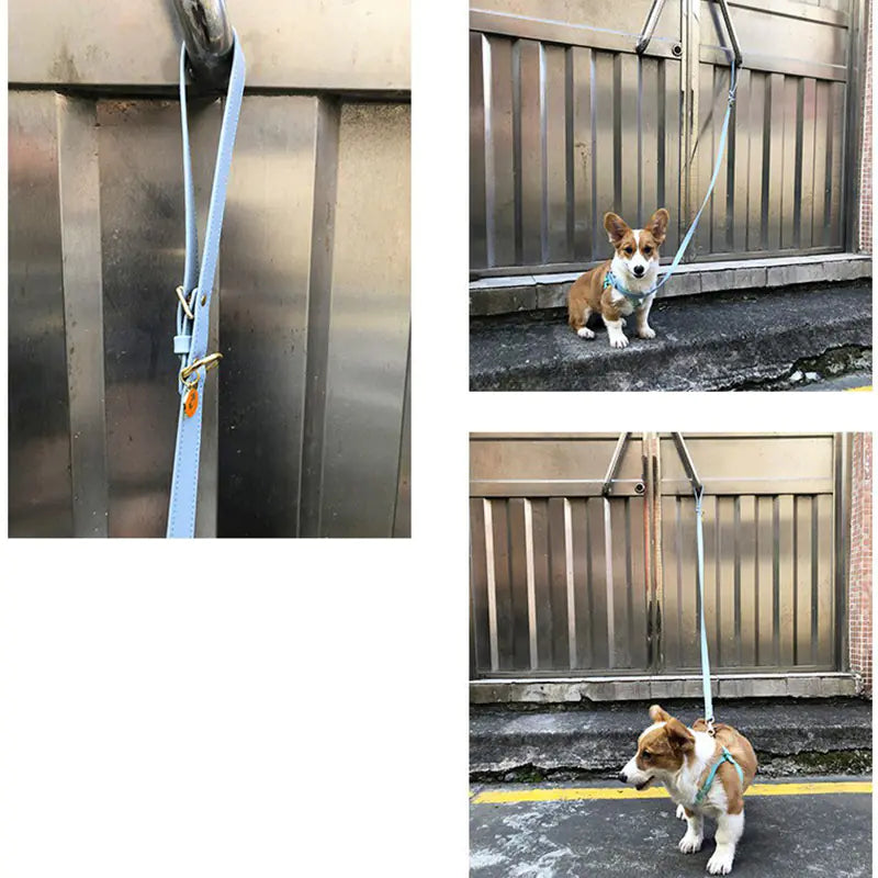 Adjustable Dog Harness & Leash Set for Small & Medium Breeds – Comfortable, Durable & Safe