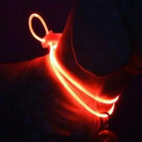 Luminous Dog Strap Pendant Collar – Stylish, Safe & Lightweight for Night Walks