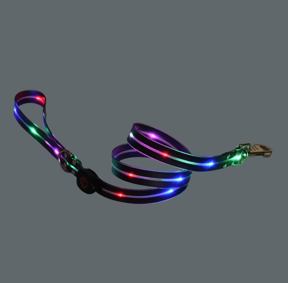 Rechargeable LED Pet Collar with Nylon Leash – USB Charging & Night Visibility
