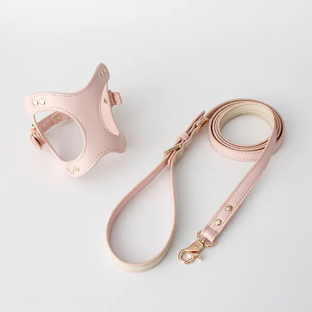 Adjustable Dog Harness & Leash Set for Small & Medium Breeds – Comfortable, Durable & Safe