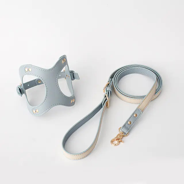 Adjustable Dog Harness & Leash Set for Small & Medium Breeds – Comfortable, Durable & Safe