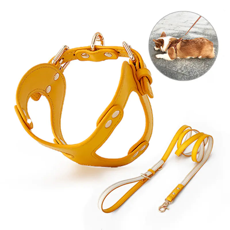 Adjustable Dog Harness & Leash Set for Small & Medium Breeds – Comfortable, Durable & Safe