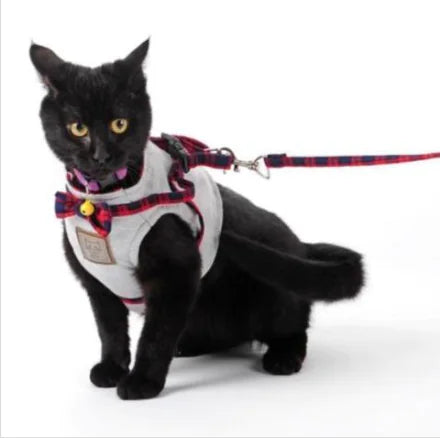 Comfortable & Escape-Proof Cat Harness and Leash Set – Perfect for Kittens and Cats