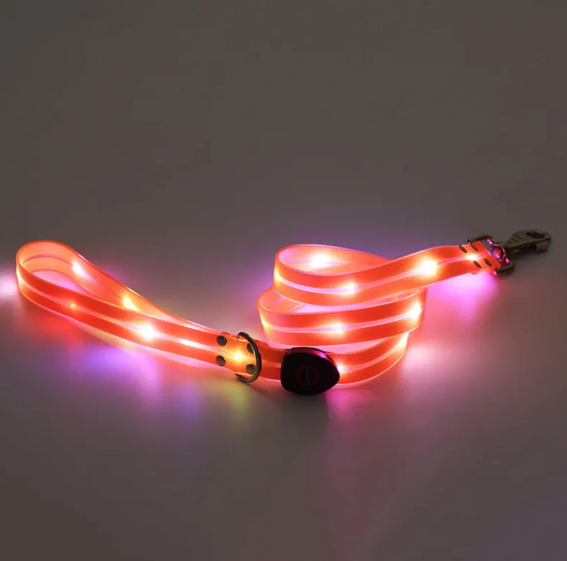 Rechargeable LED Pet Collar with Nylon Leash – USB Charging & Night Visibility