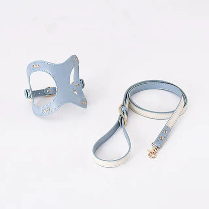 Adjustable Dog Harness & Leash Set for Small & Medium Breeds – Comfortable, Durable & Safe