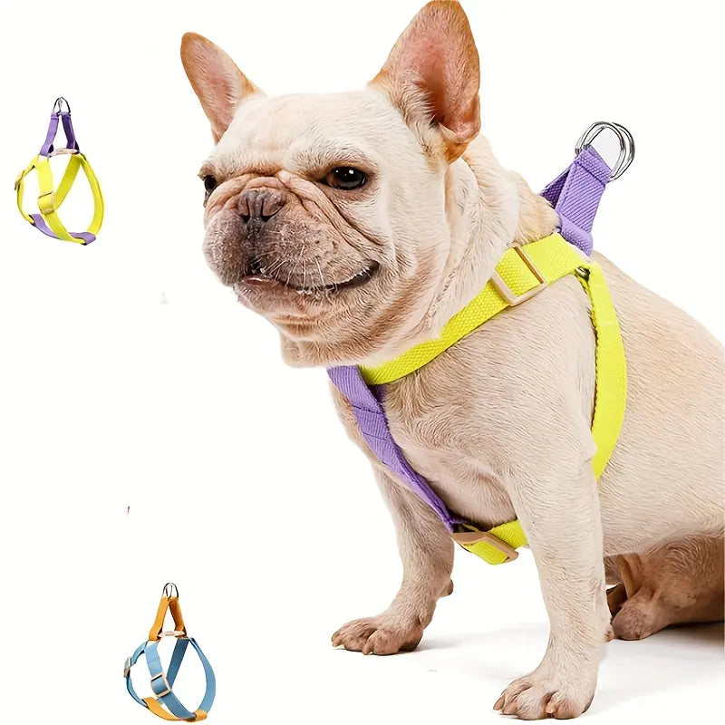 Secure dog harness in vibrant rainbow design for daily walks