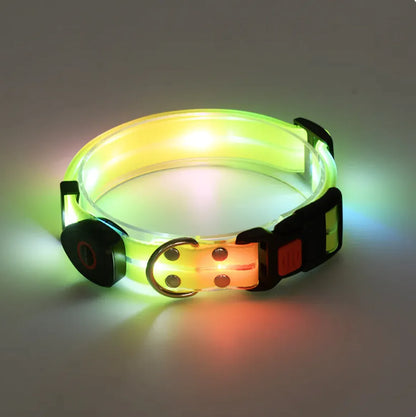 Visible Pet Collar with USB Charging