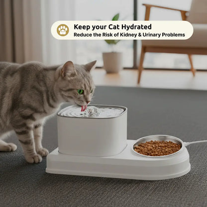 Automatic Cat Water Fountain with Feeding Bowl