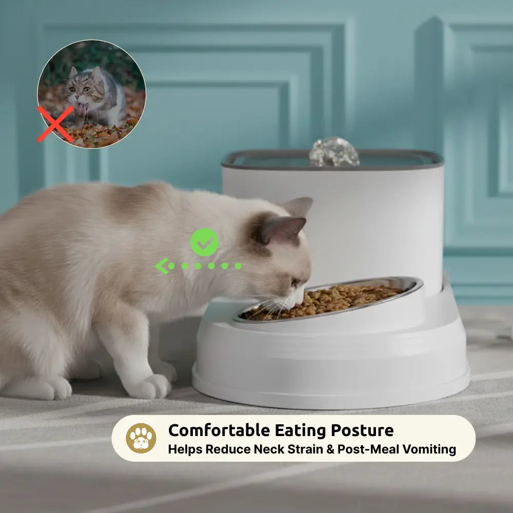 Automatic Cat Water Fountain with Feeding Bowl