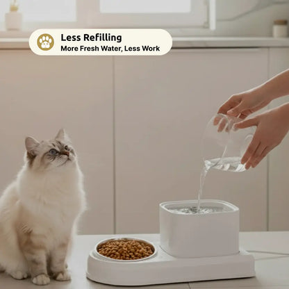Automatic Cat Water Fountain with Feeding Bowl