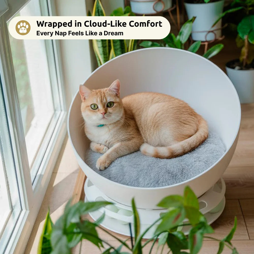 2-in-1 Mochi Round Cat Bed with Built-In Rolling Toy