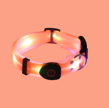 Rechargeable LED Pet Collar with Nylon Leash – USB Charging & Night Visibility