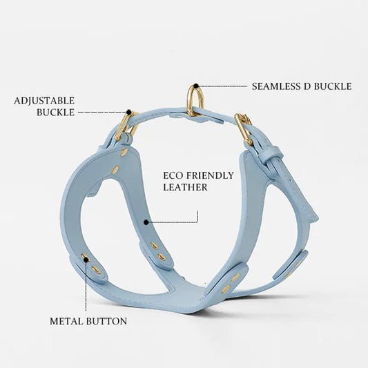 Adjustable Dog Harness & Leash Set for Small & Medium Breeds – Comfortable, Durable & Safe