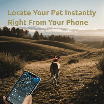 Luminous LED AirTag Dog Collar