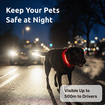 Luminous LED AirTag Dog Collar