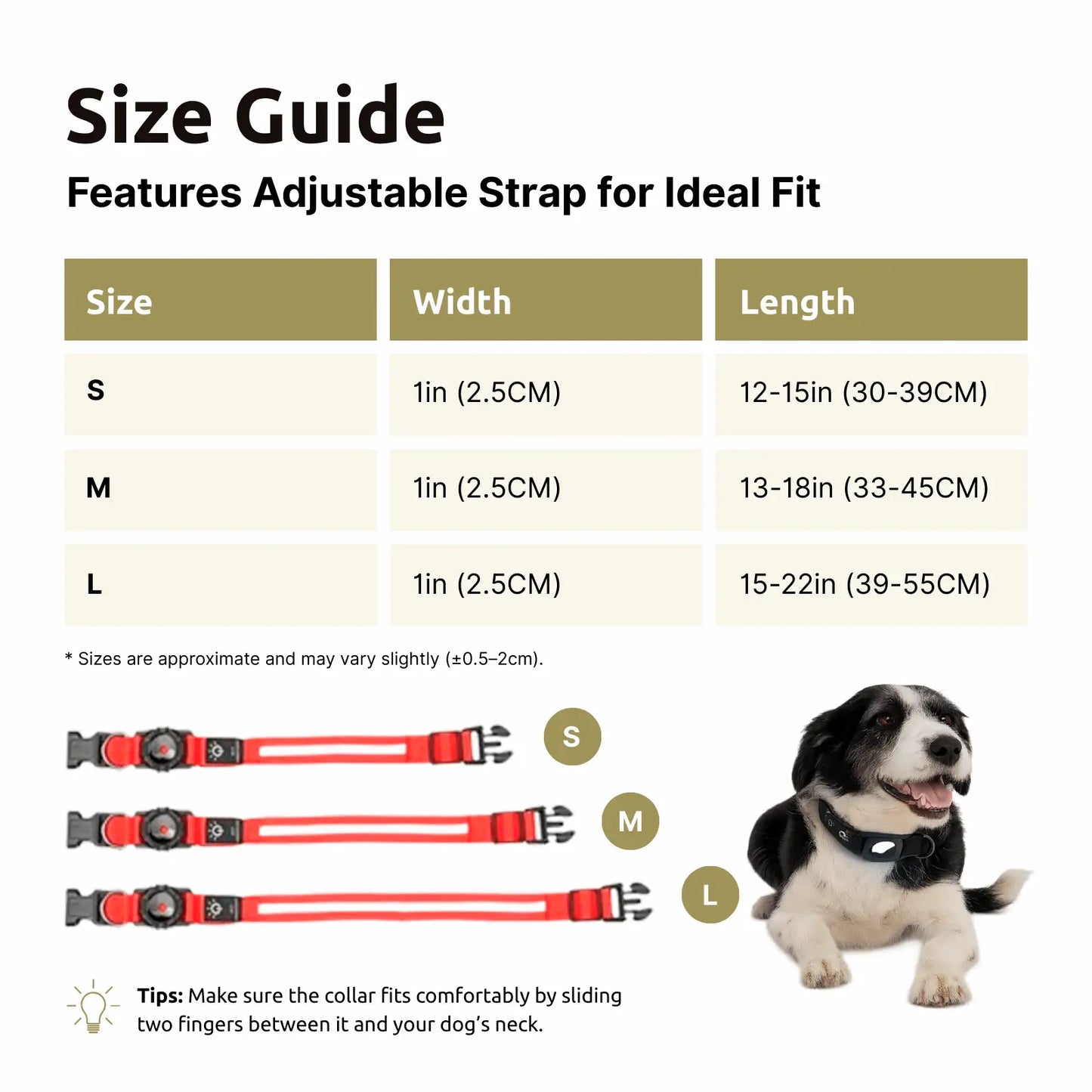 Luminous LED AirTag Dog Collar