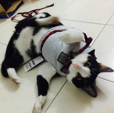 Comfortable & Escape-Proof Cat Harness and Leash Set – Perfect for Kittens and Cats